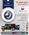MiniLionzTv 12 months 